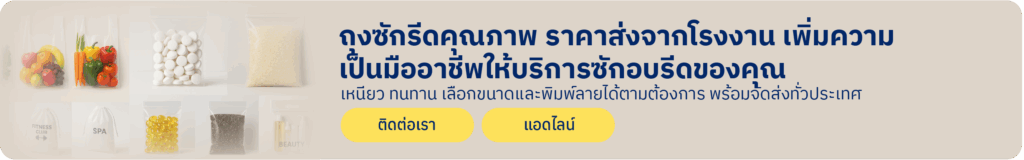 ถุงซักรีด